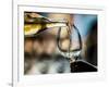 USA, Washington State, Seattle. White wine tasting-Richard Duval-Framed Photographic Print