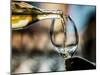 USA, Washington State, Seattle. White wine tasting-Richard Duval-Mounted Photographic Print