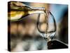 USA, Washington State, Seattle. White wine tasting-Richard Duval-Stretched Canvas