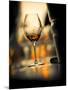 USA, Washington State, Seattle. Wine glass reflecting light-Richard Duval-Mounted Photographic Print