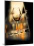 USA, Washington State, Seattle. Wine glass reflecting light-Richard Duval-Mounted Photographic Print