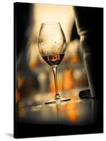 USA, Washington State, Seattle. Wine glass reflecting light.-Richard Duval-Stretched Canvas