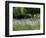 USA, Washington State, Sequim, Lavender Field-Terry Eggers-Framed Photographic Print