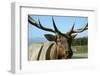 USA, Washington State, Sequim, Olympic Game Farm.-Savanah Stewart-Framed Photographic Print