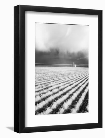 USA, Washington State, Silo with Storm front coming-Terry Eggers-Framed Photographic Print