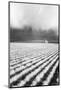 USA, Washington State, Silo with Storm front coming-Terry Eggers-Mounted Photographic Print