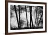 USA, Washington State, Skamania County, Lower Lewis River Falls in BW, behind the pine tree trunks.-Brent Bergherm-Framed Photographic Print