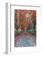 USA, Washington State, Snoqualmie. Autumn country lane.-Rob Tilley-Framed Photographic Print