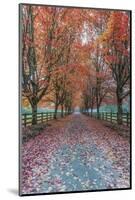 USA, Washington State, Snoqualmie. Autumn country lane.-Rob Tilley-Mounted Photographic Print