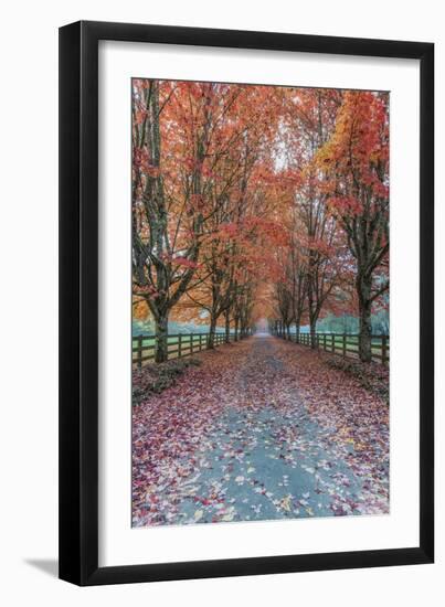 USA, Washington State, Snoqualmie. Autumn country lane.-Rob Tilley-Framed Photographic Print