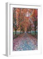 USA, Washington State, Snoqualmie. Autumn country lane.-Rob Tilley-Framed Photographic Print