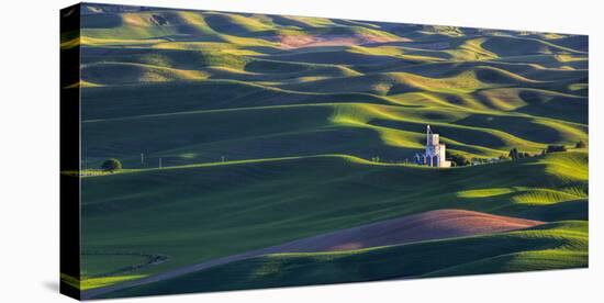 USA, Washington State, Steptoe, Old Silo in Spring Wheat Field-Terry Eggers-Stretched Canvas