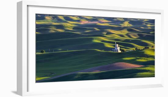 USA, Washington State, Steptoe, Old Silo in Spring Wheat Field-Terry Eggers-Framed Photographic Print