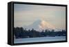 USA, Washington State, View of Mount Rainier.-Trish Drury-Framed Stretched Canvas