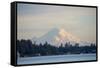 USA, Washington State, View of Mount Rainier.-Trish Drury-Framed Stretched Canvas