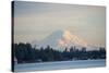 USA, Washington State, View of Mount Rainier.-Trish Drury-Stretched Canvas