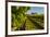 USA, Washington State, vineyard-Richard Duval-Framed Photographic Print