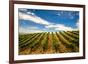 USA, Washington State, Walla Walla.-Richard Duval-Framed Photographic Print