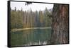 Usa, Washington State, Wenatchee National Forest, Milk Pond-Savanah Stewart-Framed Stretched Canvas