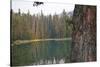 Usa, Washington State, Wenatchee National Forest, Milk Pond-Savanah Stewart-Stretched Canvas