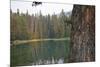 Usa, Washington State, Wenatchee National Forest, Milk Pond-Savanah Stewart-Mounted Photographic Print