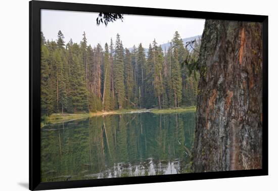 Usa, Washington State, Wenatchee National Forest, Milk Pond-Savanah Stewart-Framed Photographic Print