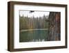 Usa, Washington State, Wenatchee National Forest, Milk Pond-Savanah Stewart-Framed Photographic Print