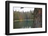 Usa, Washington State, Wenatchee National Forest, Milk Pond-Savanah Stewart-Framed Photographic Print