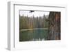 Usa, Washington State, Wenatchee National Forest, Milk Pond-Savanah Stewart-Framed Photographic Print