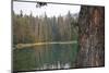 Usa, Washington State, Wenatchee National Forest, Milk Pond-Savanah Stewart-Mounted Photographic Print