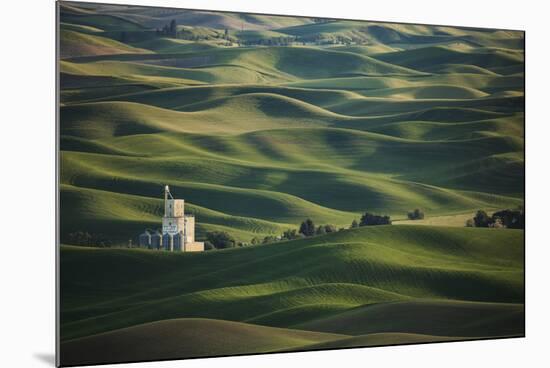 USA, Washington State, Whitman County. Views from Steptoe Butte State Park.-Brent Bergherm-Mounted Photographic Print