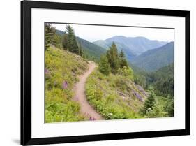 USA, Washington State. Wildflowers carpet hillsides along Mt. Townsend trail. Buckhorn Wilderness O-Trish Drury-Framed Photographic Print