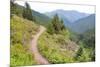 USA, Washington State. Wildflowers carpet hillsides along Mt. Townsend trail. Buckhorn Wilderness O-Trish Drury-Mounted Photographic Print