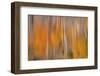 USA, Washington State, Winthrop. Autumn Reflections on Beaver Pond-Don Paulson-Framed Photographic Print