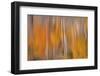 USA, Washington State, Winthrop. Autumn Reflections on Beaver Pond-Don Paulson-Framed Photographic Print