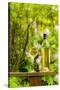 Usa, Washington State, Woodinville. White wine for an outdoor tasting at JM Cellars.-Richard Duval-Stretched Canvas