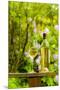 Usa, Washington State, Woodinville. White wine for an outdoor tasting at JM Cellars.-Richard Duval-Mounted Premium Photographic Print