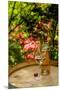 Usa, Washington State, Woodinville. Wine for an outdoor tasting-Richard Duval-Mounted Premium Photographic Print