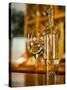 USA, Washington State, Yacolt. Wine and glass reflection.-Richard Duval-Stretched Canvas