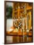 USA, Washington State, Yacolt. Wine and glass reflection.-Richard Duval-Framed Photographic Print