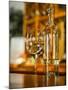 USA, Washington State, Yacolt. Wine and glass reflection.-Richard Duval-Mounted Premium Photographic Print