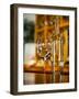 USA, Washington State, Yacolt. Wine and glass reflection.-Richard Duval-Framed Photographic Print