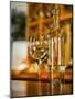 USA, Washington State, Yacolt. Wine and glass reflection.-Richard Duval-Mounted Photographic Print