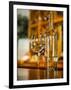 USA, Washington State, Yacolt. Wine and glass reflection.-Richard Duval-Framed Photographic Print