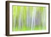 USA, Washington State, Yakima River Trail. Abstract of Aspen Trees-Don Paulson-Framed Photographic Print