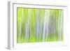 USA, Washington State, Yakima River Trail. Abstract of Aspen Trees-Don Paulson-Framed Photographic Print