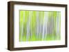 USA, Washington State, Yakima River Trail. Abstract of Aspen Trees-Don Paulson-Framed Photographic Print