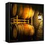 USA, Washington State, Yakima Valley. Barrel cave in low light.-Richard Duval-Framed Stretched Canvas
