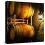 USA, Washington State, Yakima Valley. Barrel cave in low light.-Richard Duval-Stretched Canvas