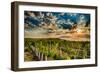 USA, Washington State, Yakima Valley. Sunrise on a vineyard.-Richard Duval-Framed Photographic Print